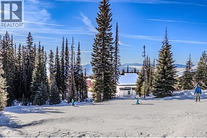 5946 Snow Pines Crescent Unit# A - Photo 48