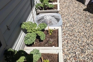 1505 Tanemura Crescent - Photo 43