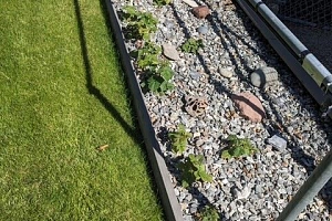 1505 Tanemura Crescent - Photo 44