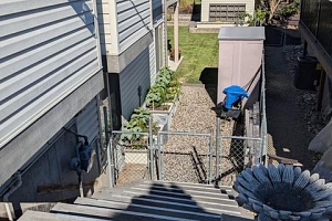 1505 Tanemura Crescent - Photo 52