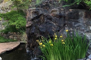 5715 Lakeshore Road - Photo 48