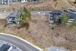 3332 Black Pine Lane - Photo 4