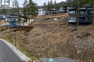 3332 Black Pine Lane - Photo 9