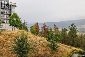 725 Academy Way Unit# PH18 - Photo 20