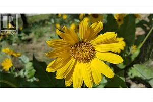 1785 Cathy Court - Photo 30