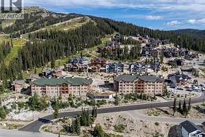 255 Feathertop Way Unit# 308/308A - Photo 37