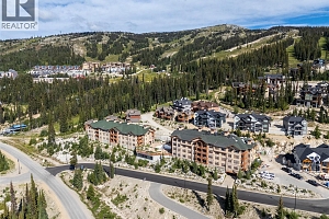 255 Feathertop Way Unit# 308/308A - Photo 38