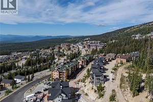 255 Feathertop Way Unit# 308/308A - Photo 40