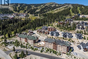 255 Feathertop Way Unit# 308/308A - Photo 41