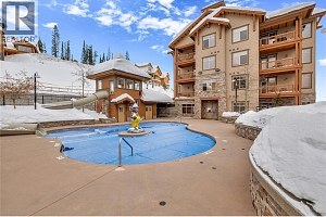 255 Feathertop Way Unit# 308/308A - Photo 50