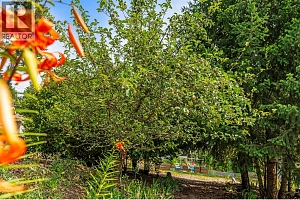 2907 Gyp Road - Photo 74