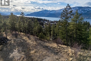Proposed Lot A Cemetery Road - Photo 22