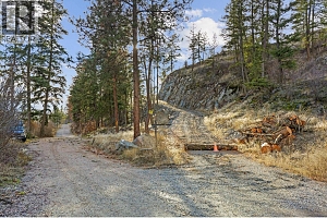 Proposed Lot A Cemetery Road - Photo 31