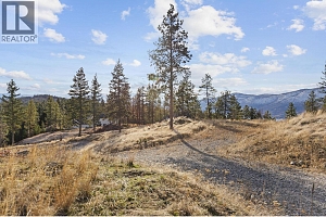 Proposed Lot A Cemetery Road - Photo 34