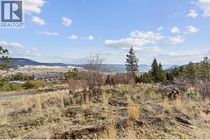Proposed Lot A Cemetery Road - Photo 37