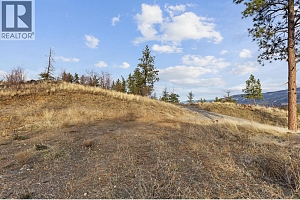 Proposed Lot A Cemetery Road - Photo 38