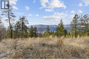Proposed Lot A Cemetery Road - Photo 39