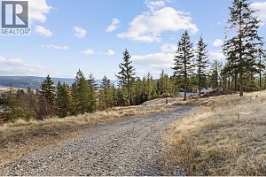 Proposed Lot A Cemetery Road - Photo 40