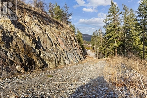 Proposed Lot A Cemetery Road - Photo 41