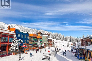 665 Monashee Road - Photo 5