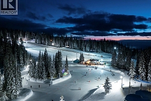 665 Monashee Road - Photo 9