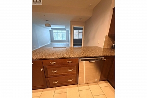 3833 Brown Road Unit# 1211 - Photo 9