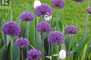 500 Mcdonald Road - Photo 45