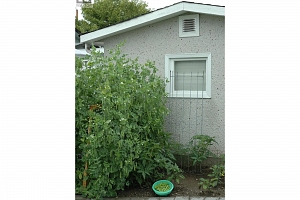 500 Mcdonald Road - Photo 46