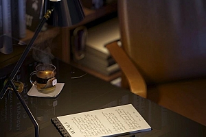 3321 Watt Road - Photo 30