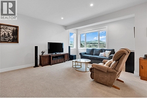 991 Mt Burnham Road - Photo 41