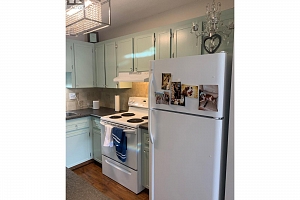 3155 Gordon Drive Unit# 407 - Photo 6