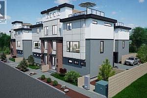 1007 Lanfranco Road - Photo 4