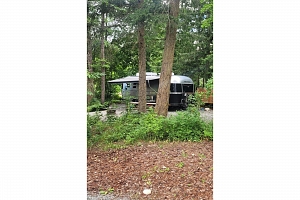 7704 97A Highway - Photo 60