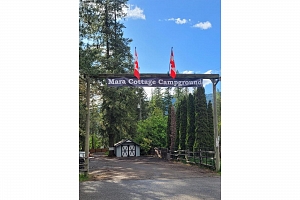 7704 97A Highway - Photo 56