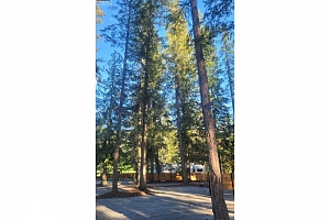 7704 97A Highway - Photo 57