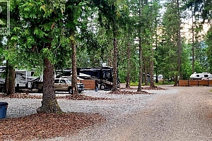 7704 97A Highway - Photo 62