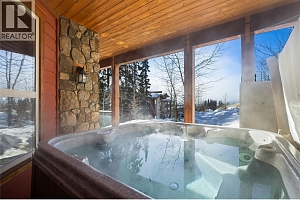 5050 Snowbird Way Unit# 306 - Photo 21