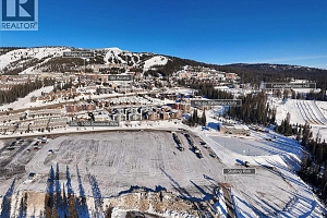 5050 Snowbird Way Unit# 306 - Photo 36