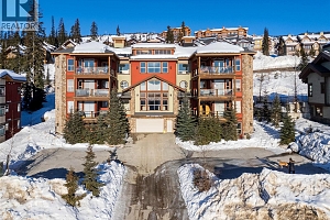 5050 Snowbird Way Unit# 306 - Photo 37