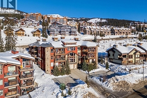 5050 Snowbird Way Unit# 306 - Photo 38