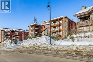 5050 Snowbird Way Unit# 306 - Photo 43