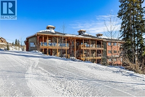 5050 Snowbird Way Unit# 306 - Photo 44