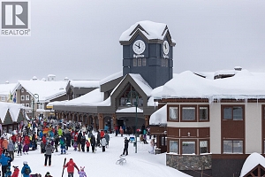 5050 Snowbird Way Unit# 306 - Photo 46