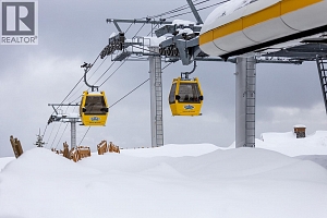 5050 Snowbird Way Unit# 306 - Photo 48