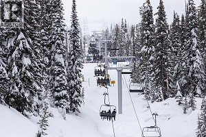 5050 Snowbird Way Unit# 306 - Photo 49