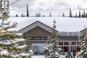 5050 Snowbird Way Unit# 306 - Photo 50