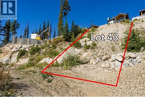 465 Feathertop Way - Photo 12