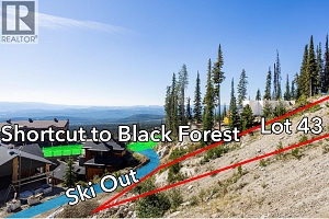 465 Feathertop Way - Photo 7