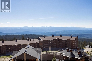 465 Feathertop Way - Photo 9