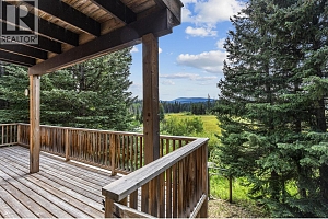 9245 Paradise Road - Photo 51